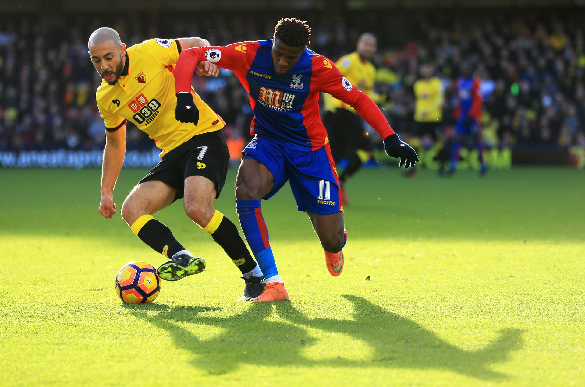 引进梅努 引进梅努